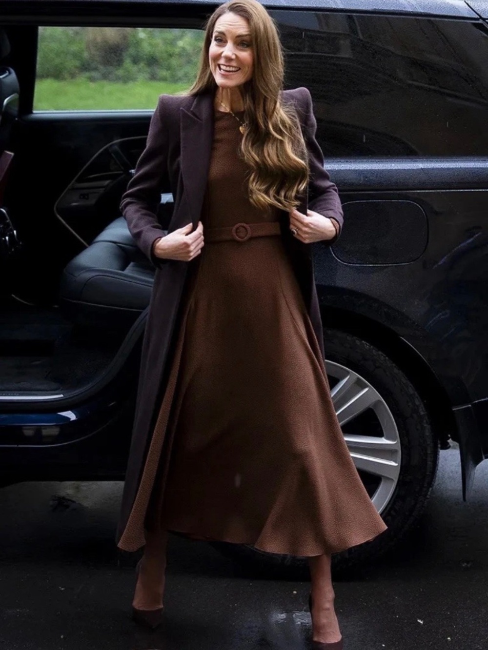 ASO Royal. Edeline Brown Dress US4
